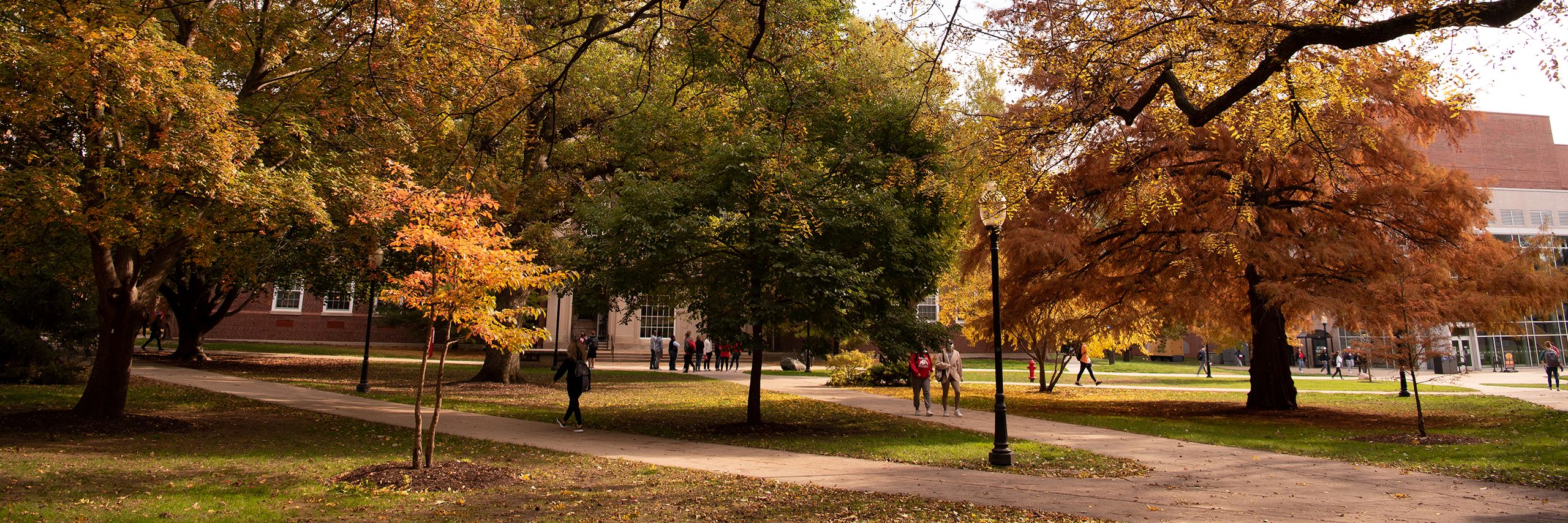 Students walking on Illinois State Quad